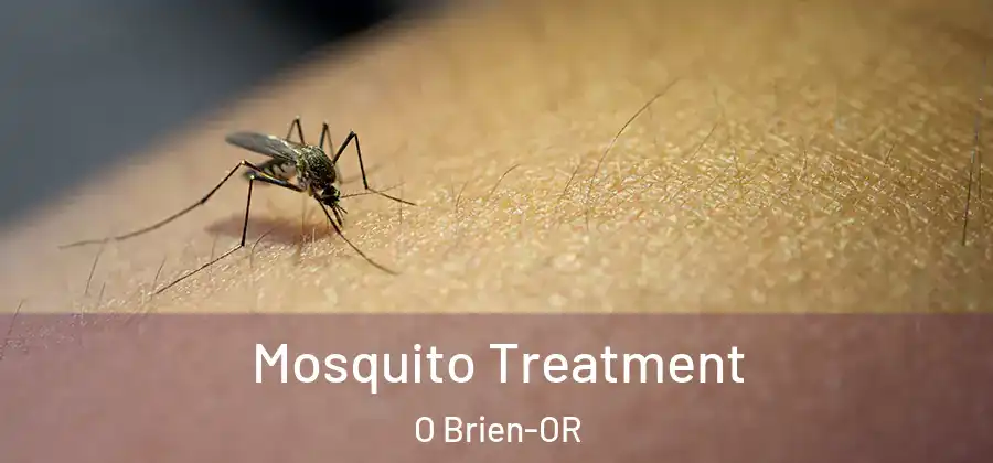  Mosquito Treatment O Brien-OR