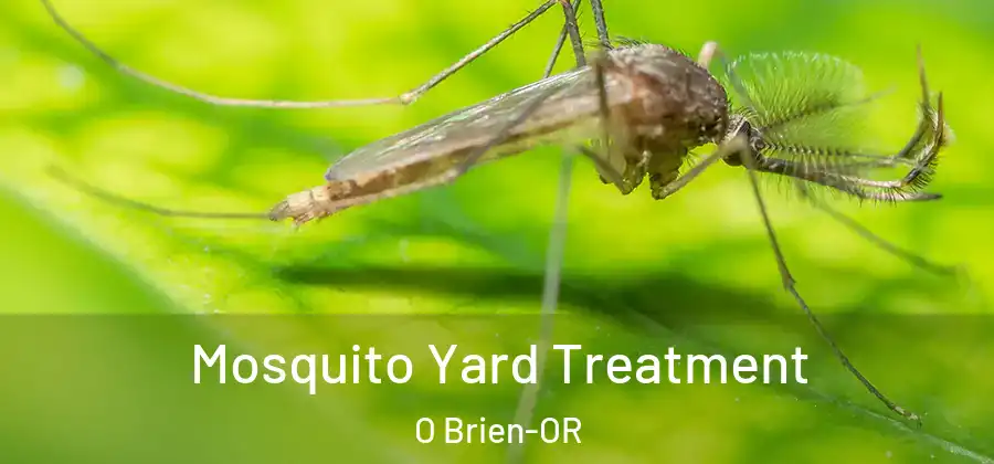 Mosquito Yard Treatment O Brien-OR