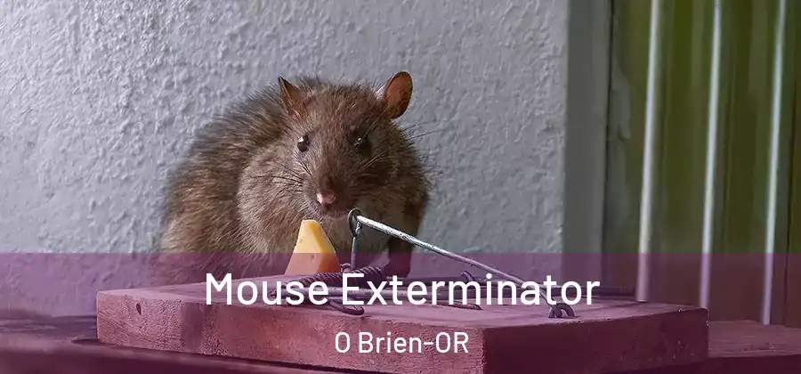 Mouse Exterminator O Brien-OR