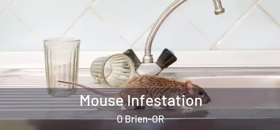 Mouse Infestation O Brien-OR