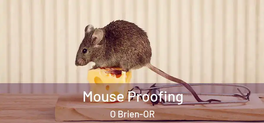  Mouse Proofing O Brien-OR
