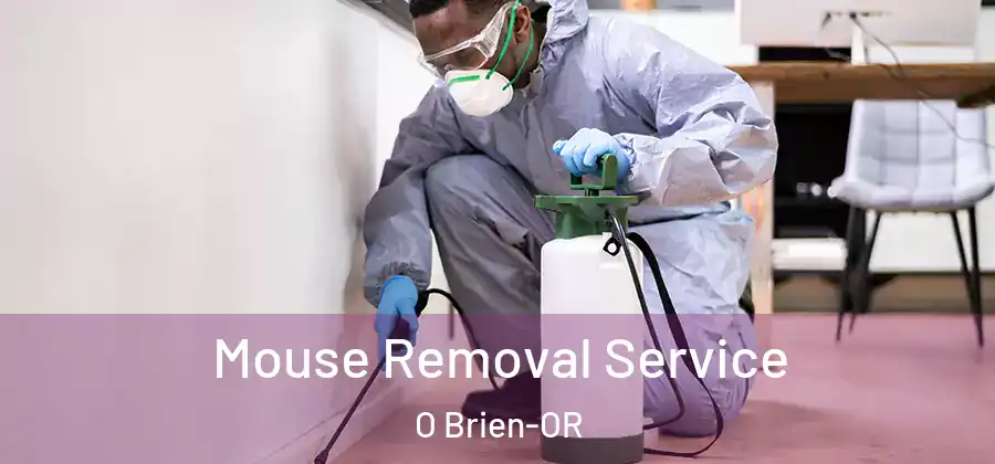 Mouse Removal Service O Brien-OR