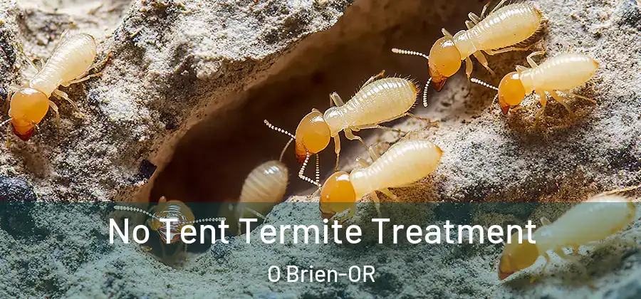 No Tent Termite Treatment O Brien-OR