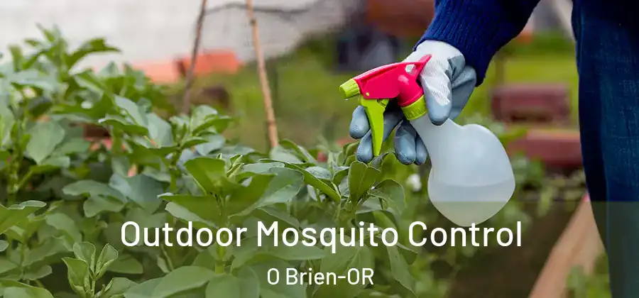  Outdoor Mosquito Control O Brien-OR