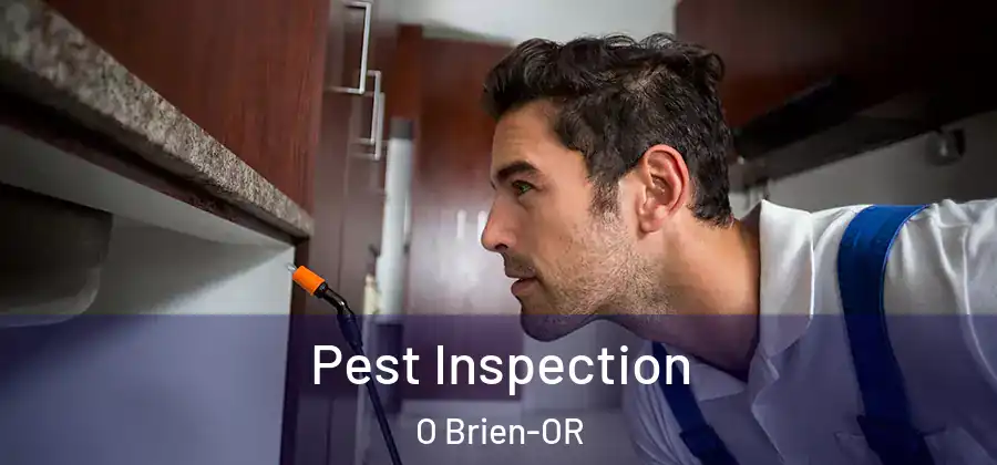  Pest Inspection O Brien-OR