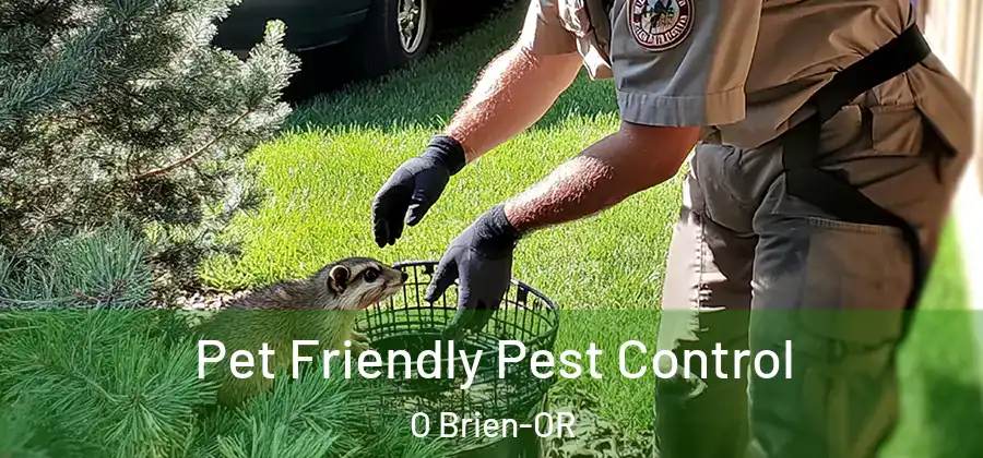 Pet Friendly Pest Control O Brien-OR