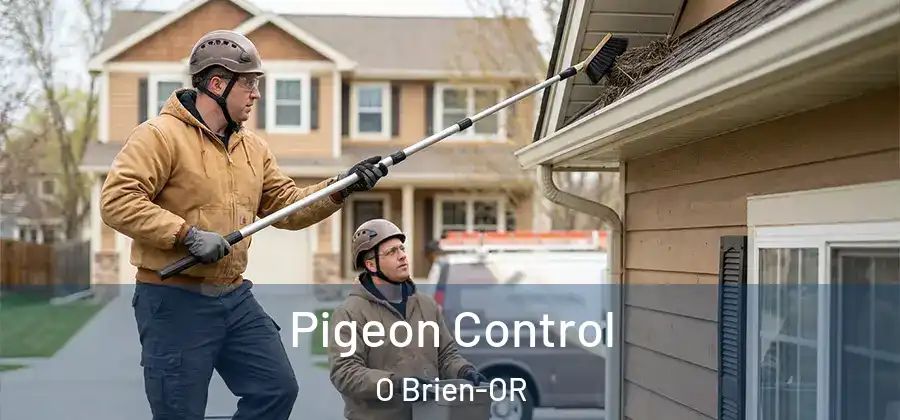  Pigeon Control O Brien-OR
