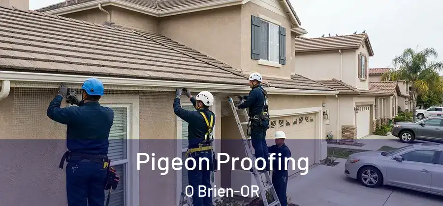  Pigeon Proofing O Brien-OR