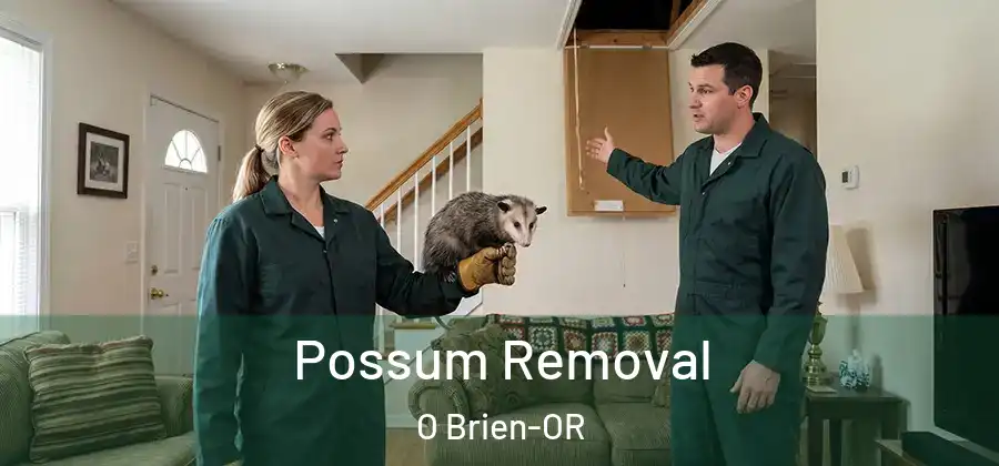  Possum Removal O Brien-OR
