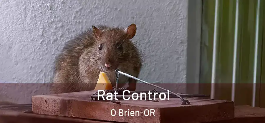 Rat Control O Brien-OR