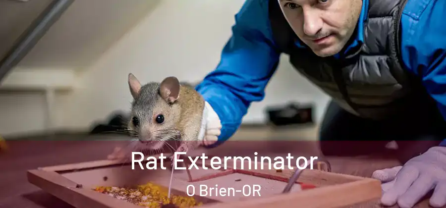 Rat Exterminator O Brien-OR