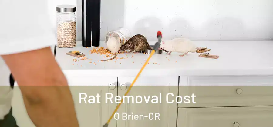  Rat Removal Cost O Brien-OR
