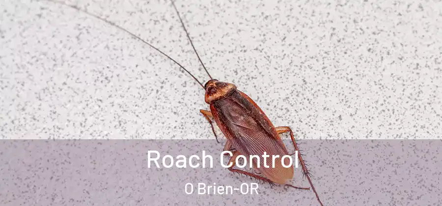  Roach Control O Brien-OR