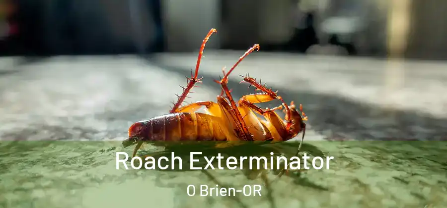 Roach Exterminator O Brien-OR