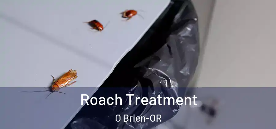 Roach Treatment O Brien-OR
