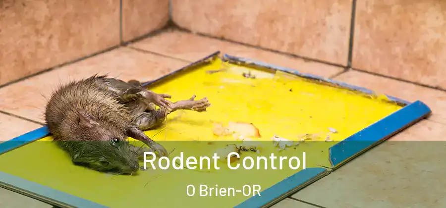 Rodent Control O Brien-OR