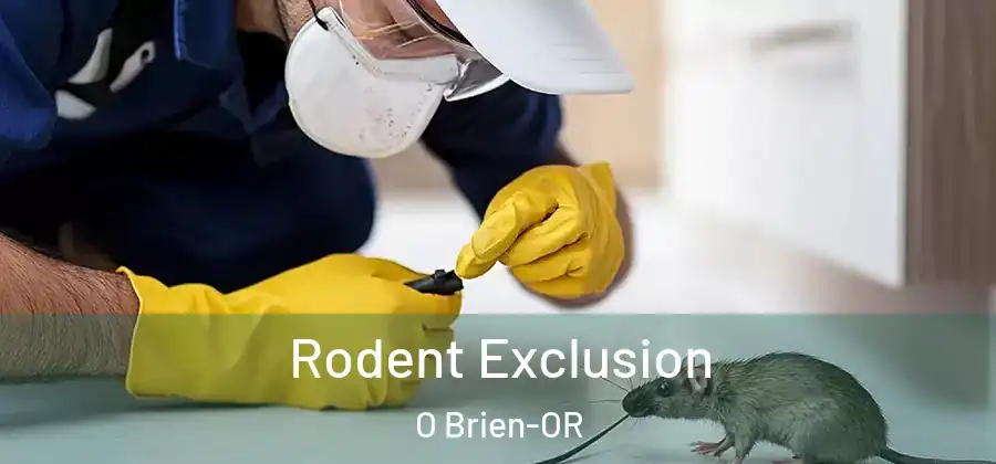 Rodent Exclusion O Brien-OR