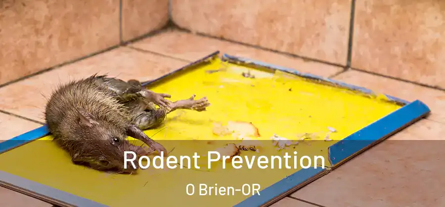 Rodent Prevention O Brien-OR