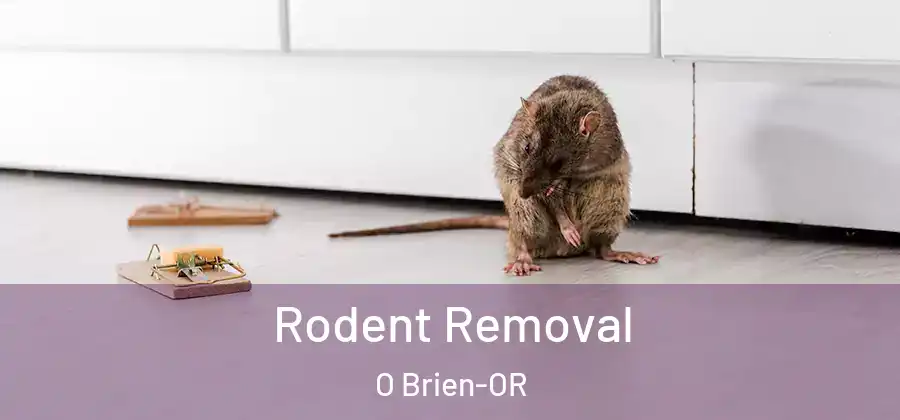 Rodent Removal O Brien-OR