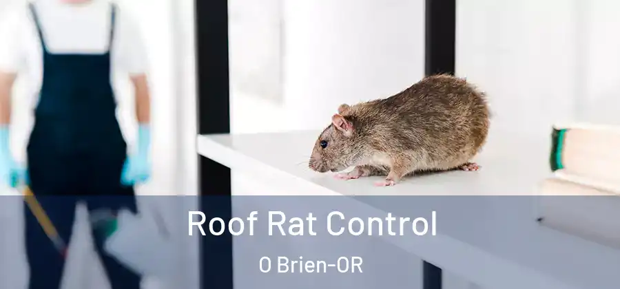 Roof Rat Control O Brien-OR