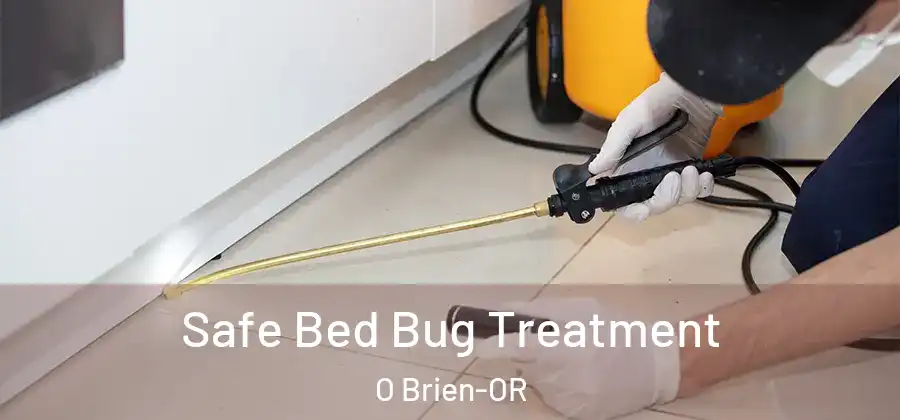  Safe Bed Bug Treatment O Brien-OR