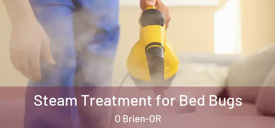 Steam Treatment for Bed Bugs O Brien-OR