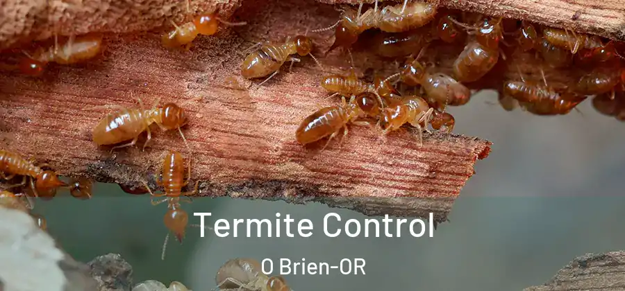 Termite Control O Brien-OR