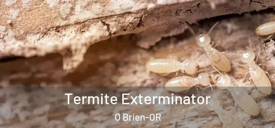 Termite Exterminator O Brien-OR