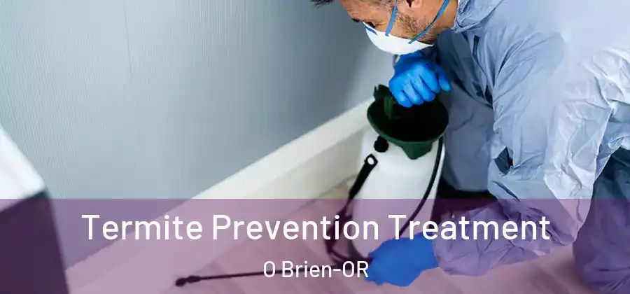 Termite Prevention Treatment O Brien-OR