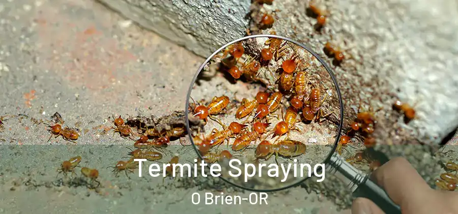Termite Spraying O Brien-OR