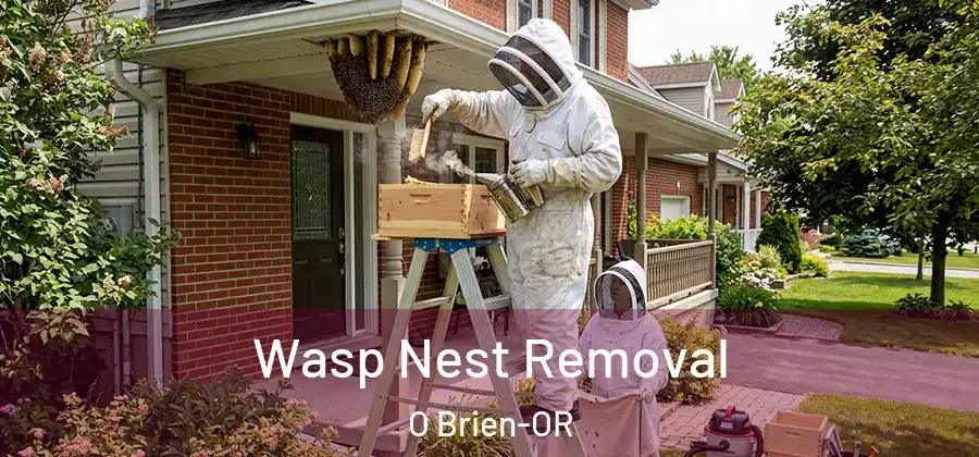 Wasp Nest Removal O Brien-OR