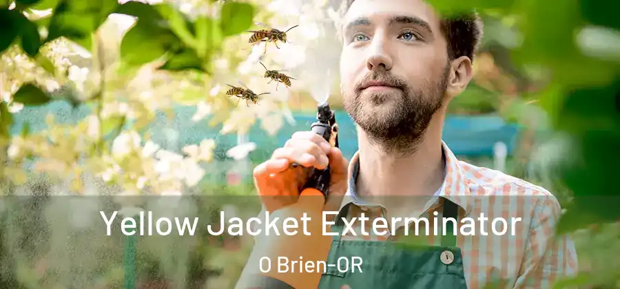  Yellow Jacket Exterminator O Brien-OR